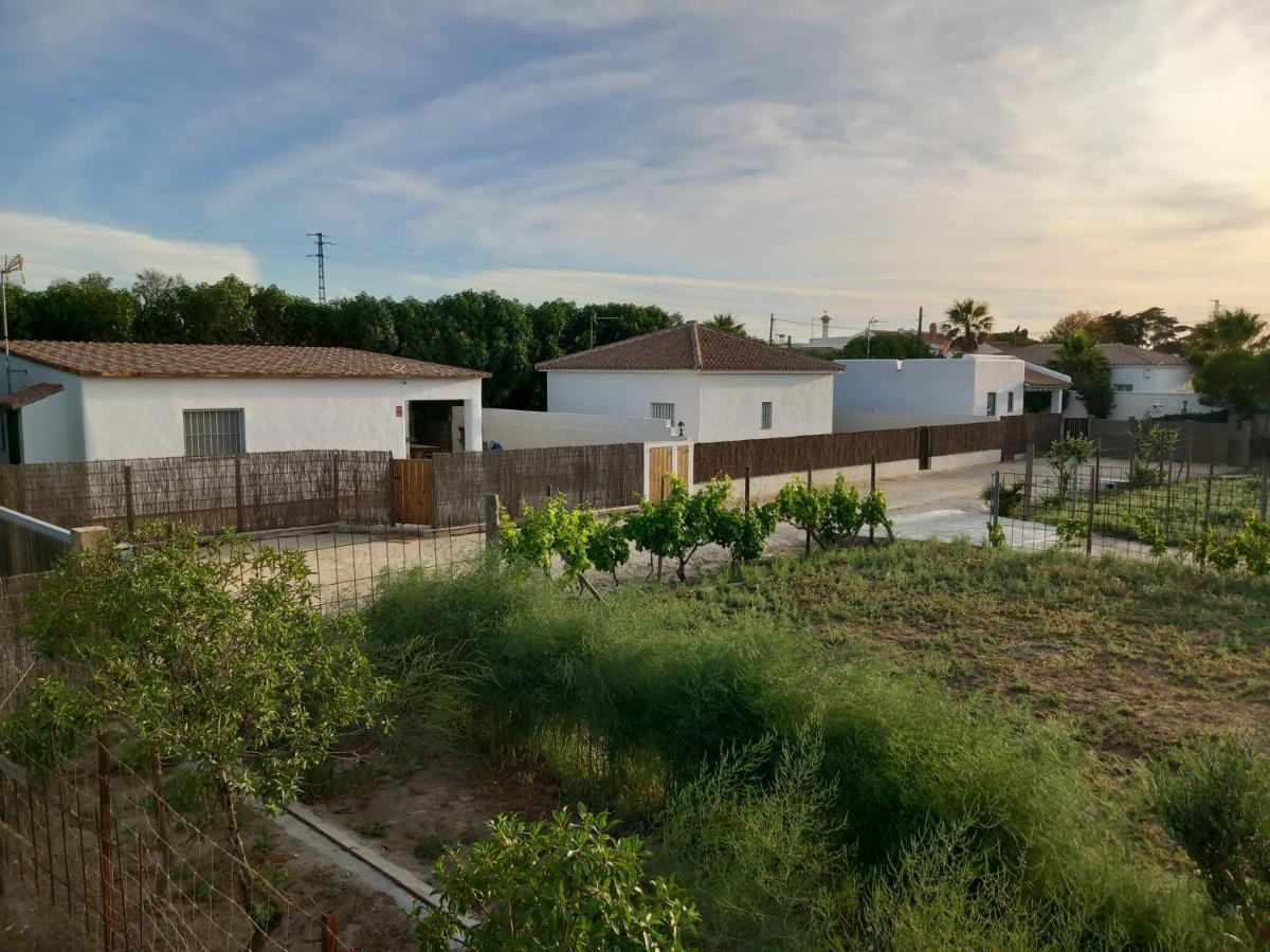 Apartamentos Cala Isabel 扎霍拉 外观 照片